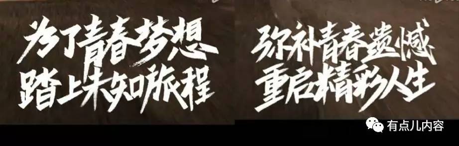 综艺节目策划宣传文案,综艺节目推广文案