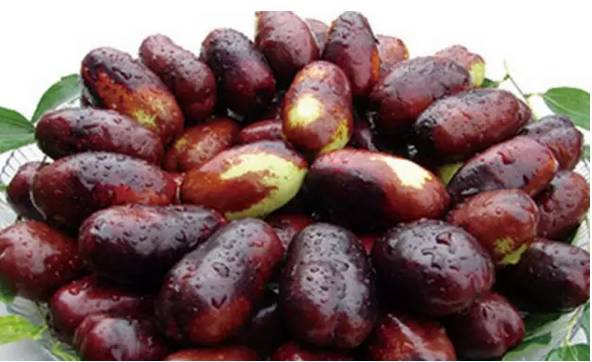 宁夏特产有哪些小吃可以带,银川旅游可以带哪些特产回来