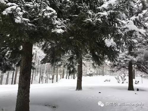 日本北海道旅游攻略自由行,日本大阪旅游攻略