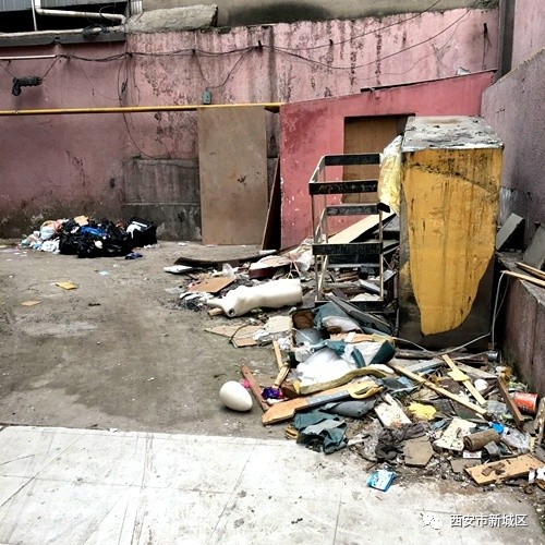 院长大搞翻新改造工程,院长翻天覆地的生活