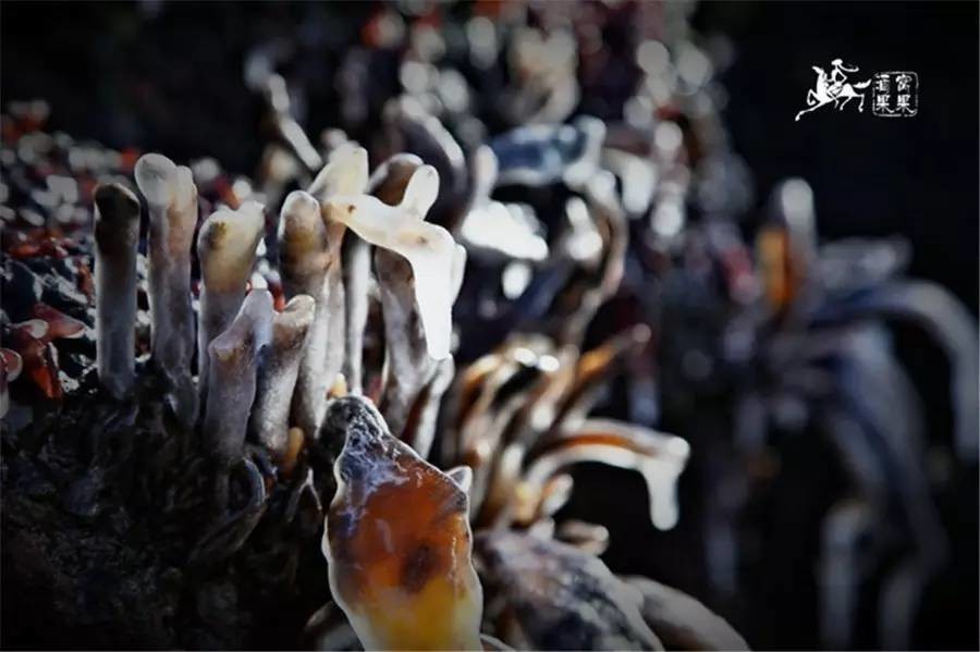 大连冬季小众景点有哪些,大连冬季必去景点推荐攻略