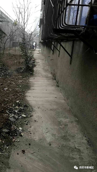 院长大搞翻新改造工程,院长翻天覆地的生活