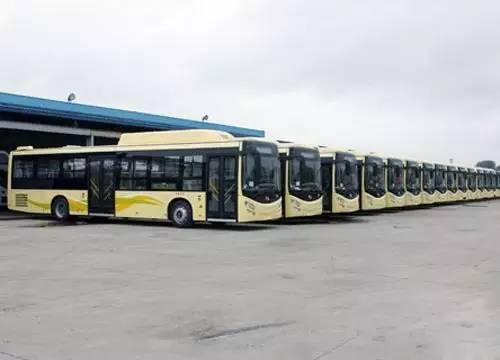 哈市23年春节公交车安排,哈市春节公交调整