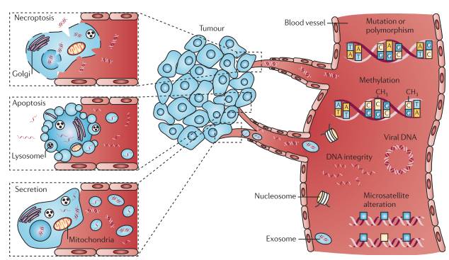 体液可以帮你窥探肿瘤的秘密吗？——说一说当下热点“液体活检”丨原创