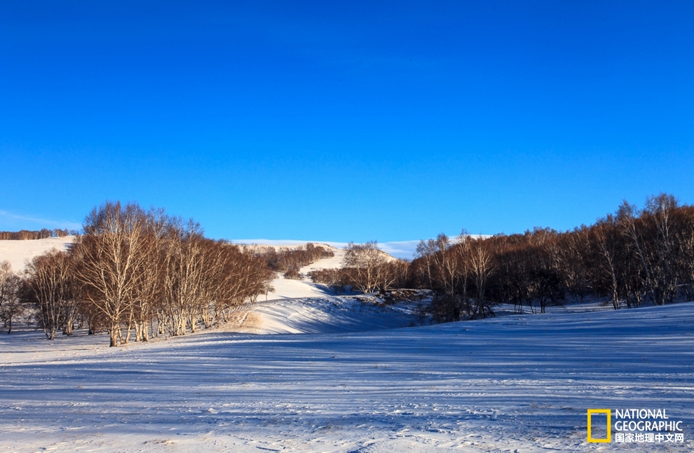 趁冬天还没有来临之前去一趟,一起到坝上去看雪