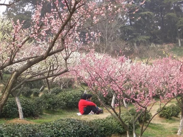 距离春节上班还有多少天,南京节假日去哪玩