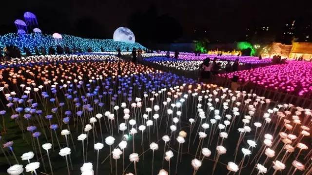 沈阳正月十五赏花灯,正月十五闹花灯沈阳好去处推荐