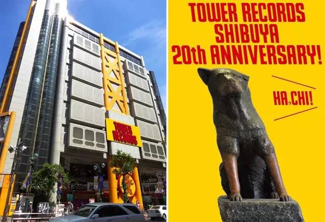 同一家唱片店，在美国破产在日本却销售冠军，为什么？｜CBNweekly未来预想图