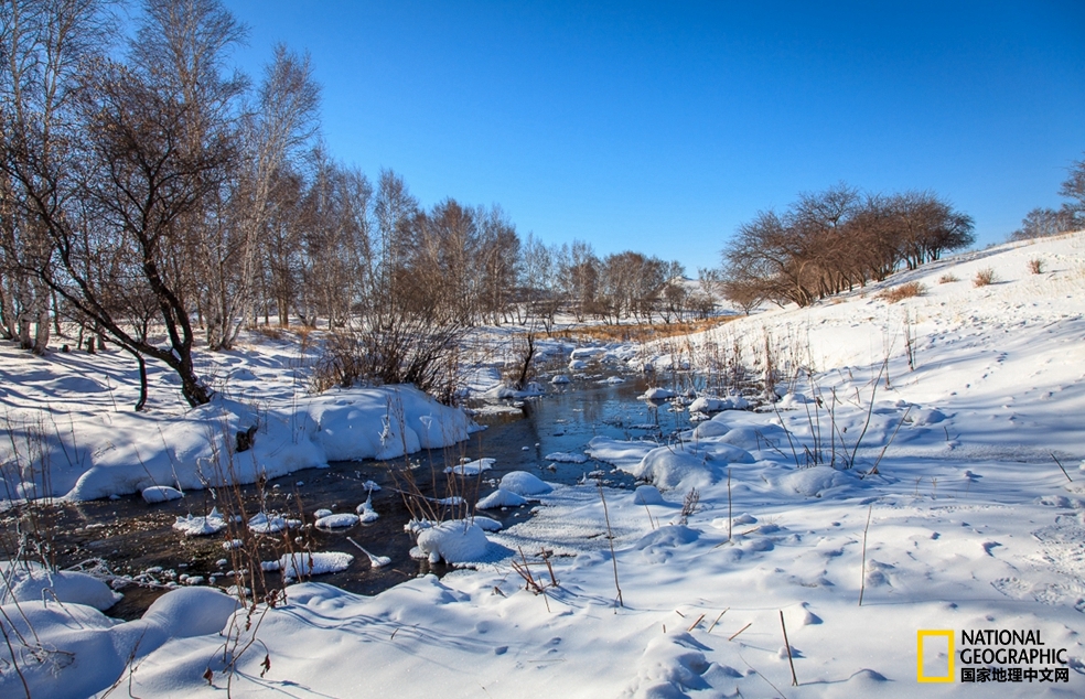 趁冬天还没有来临之前去一趟,一起到坝上去看雪