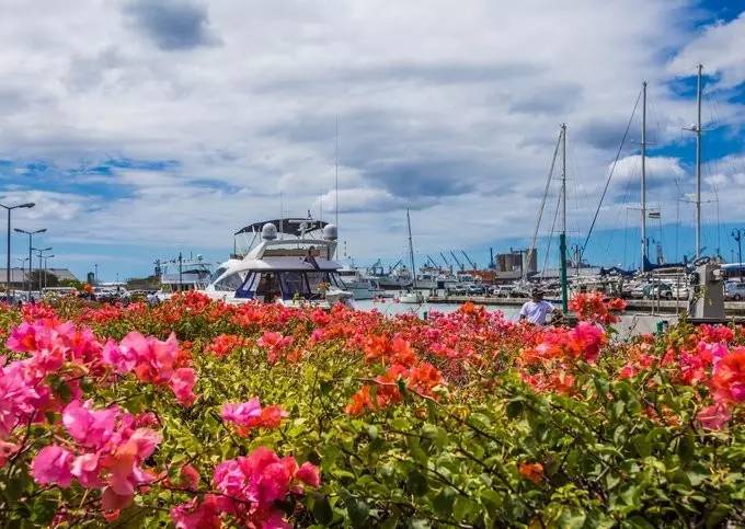 绝色天堂毛里求斯，你想要的干货攻略全在这里了！