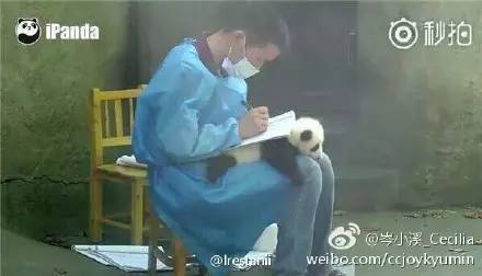 太搞笑了图片带字,非常搞笑的相册