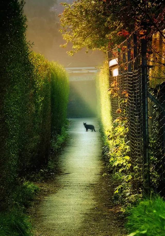 极品风光摄影作品,中国顶级风光摄影网