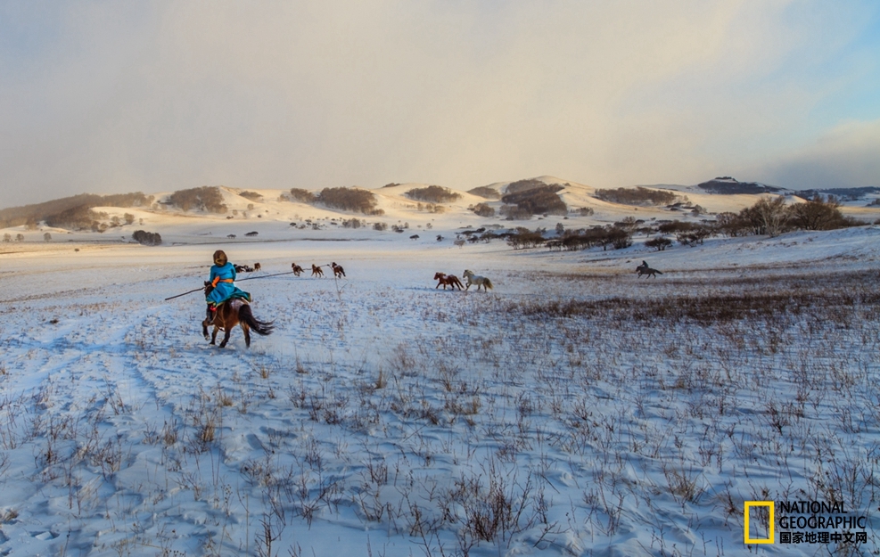 趁冬天还没有来临之前去一趟,一起到坝上去看雪