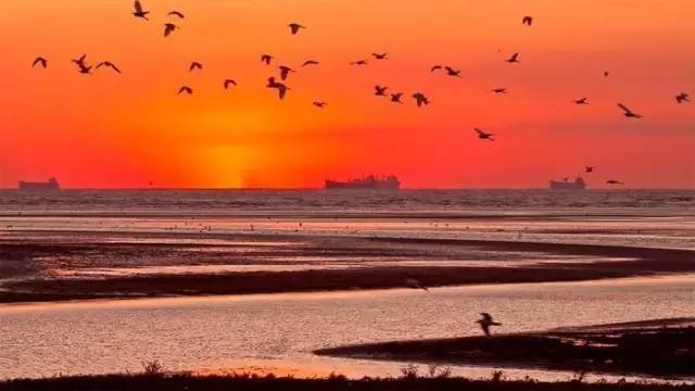 赵雷的歌曲成都在哪里火的,赵雷唱红了成都