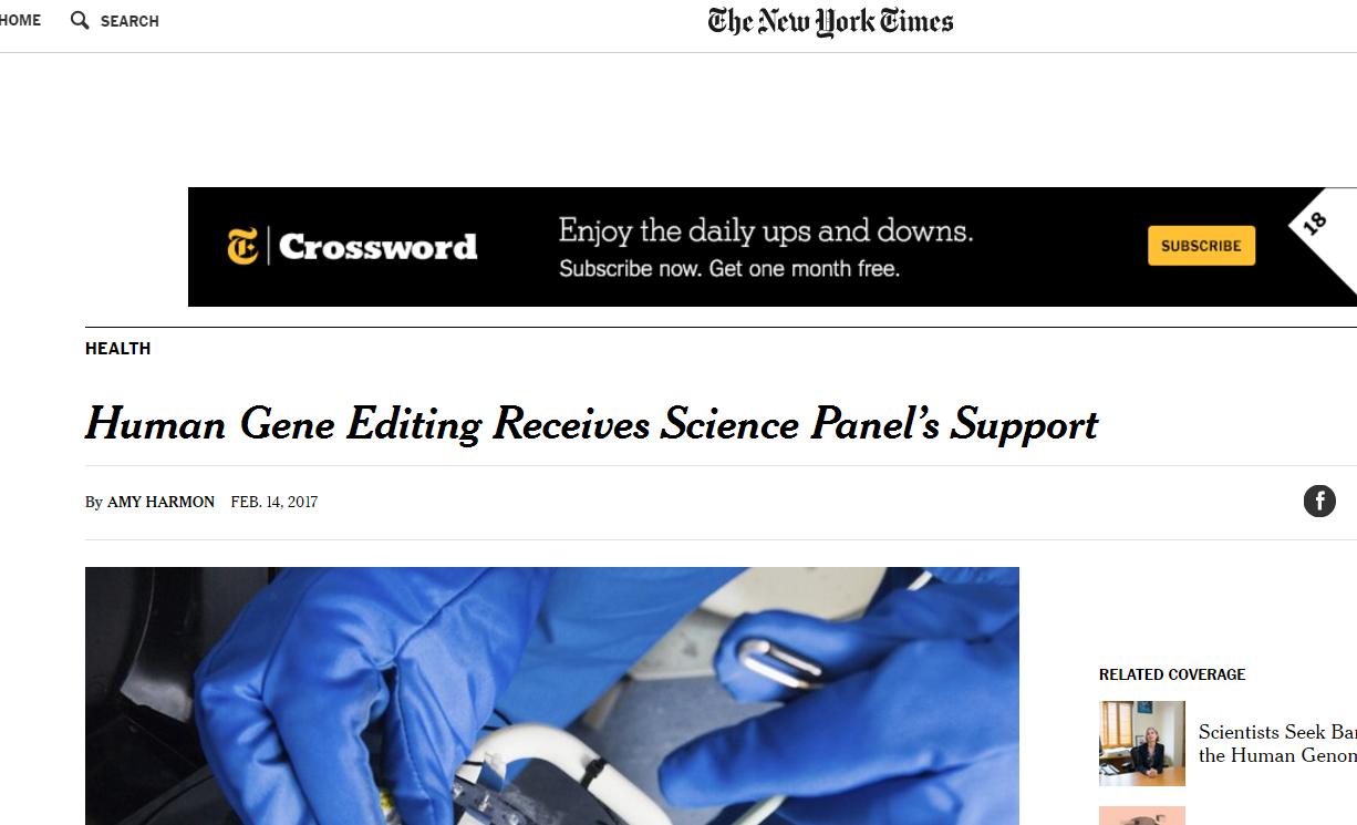 缇庣紪杈戜汉绫昏儦鑳庣爺绌惰璐ㄧ枒,缇庡浗浜虹被鑳氳儙缂栬緫