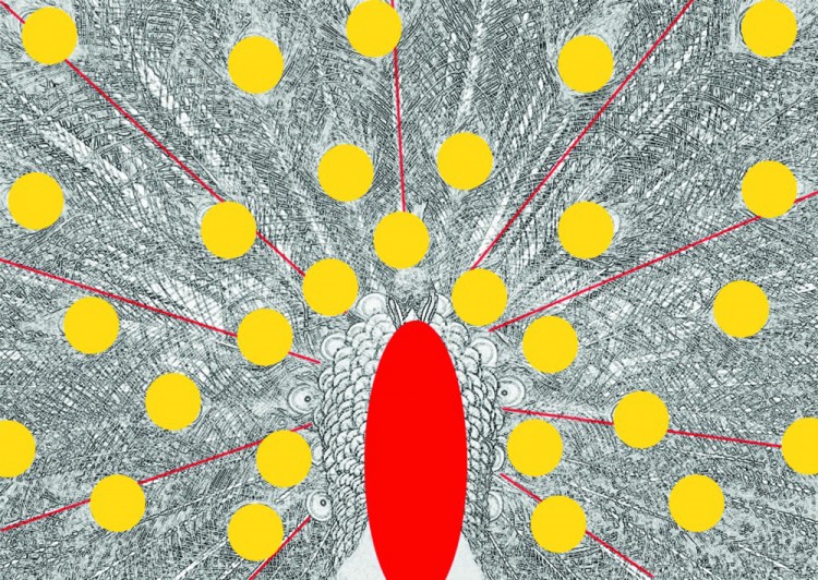 西双版纳从下飞机开始的攻略,进入西双版纳的视频