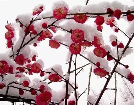 缂ょ悍鎮﹁娣卞害瑙ｆ瀽,缂ょ悍鎮﹁