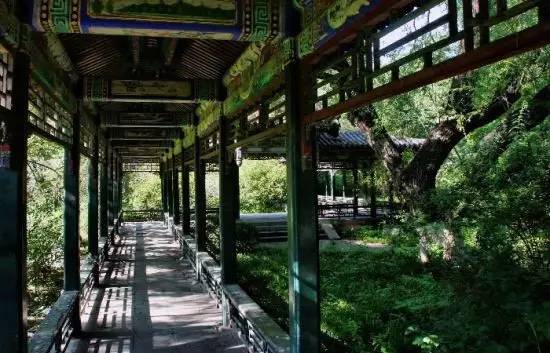 左边圆明园，右边颐和园，前边海淀公园，紧挨着北大和清华，厉害了word西苑医院｜再发现西苑医院的十大理由