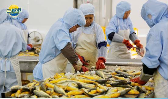 福建宁德市三都大黄鱼,宁德三都港大黄鱼