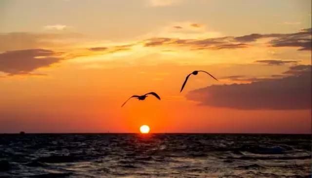 不好意思，中国人想要的春节已经在美国上线