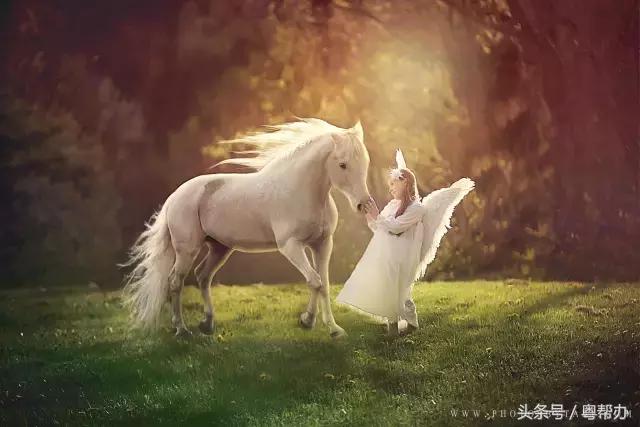 全国梦幻游玩好去处,梦境旅游景点