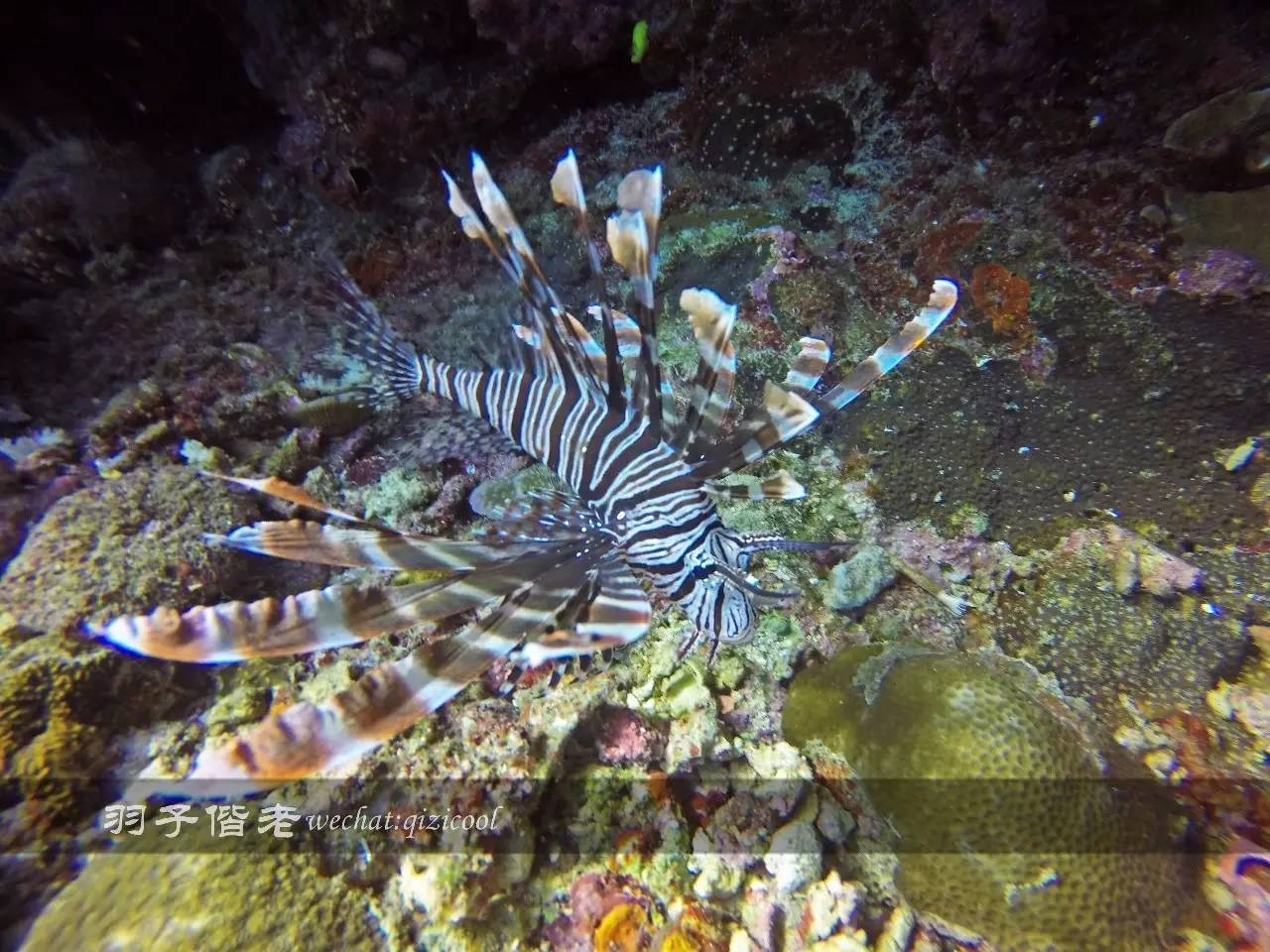 美娜多海岛一日游,印尼美娜多跟团游