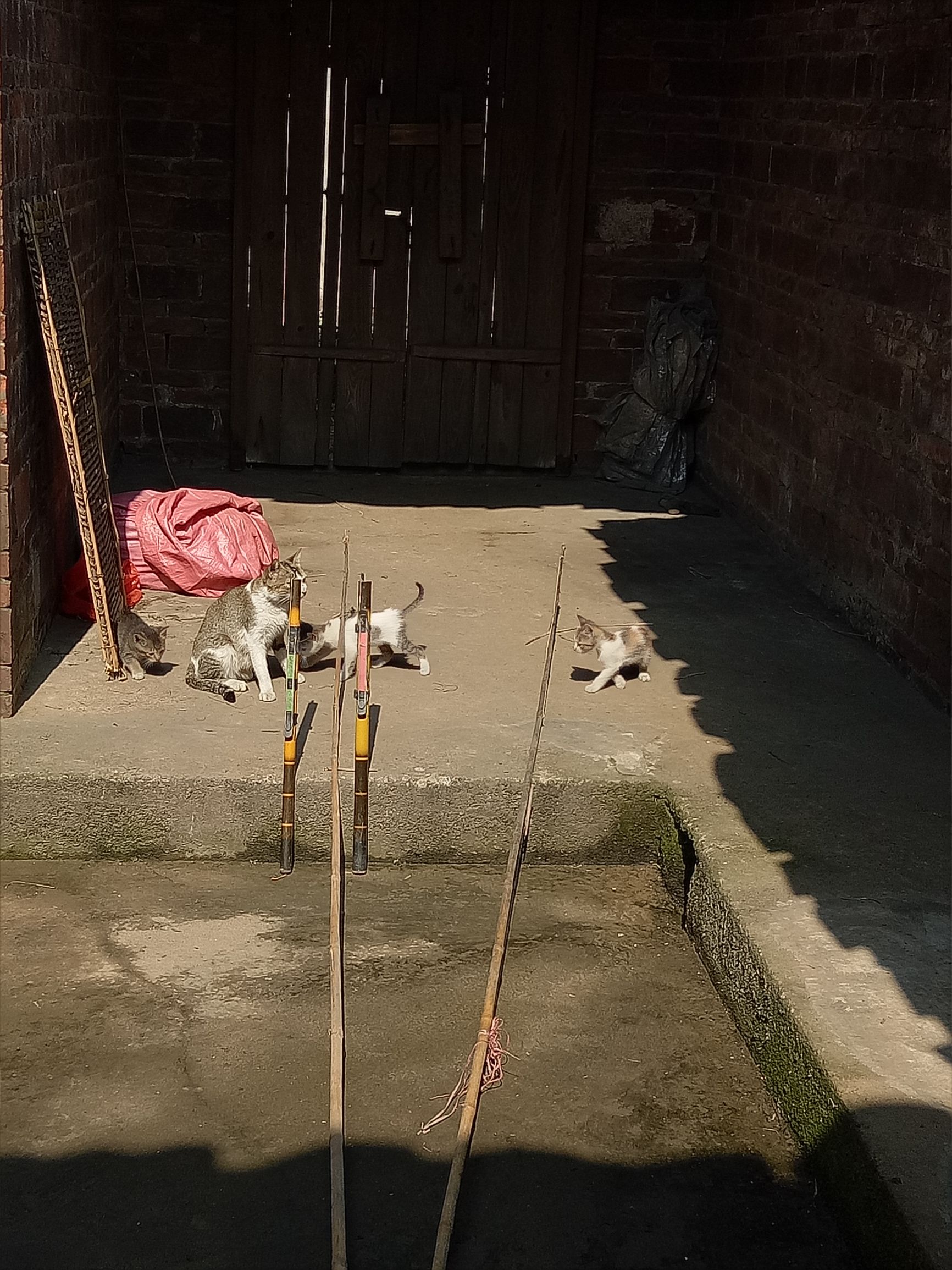 手竿鱼钩防挂底技巧,初学者钓鱼鱼竿线鱼钩怎么搭配