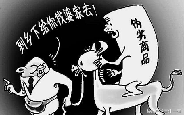 农村假货横行怎么处理 (农民办年货怎么避免买到假货)