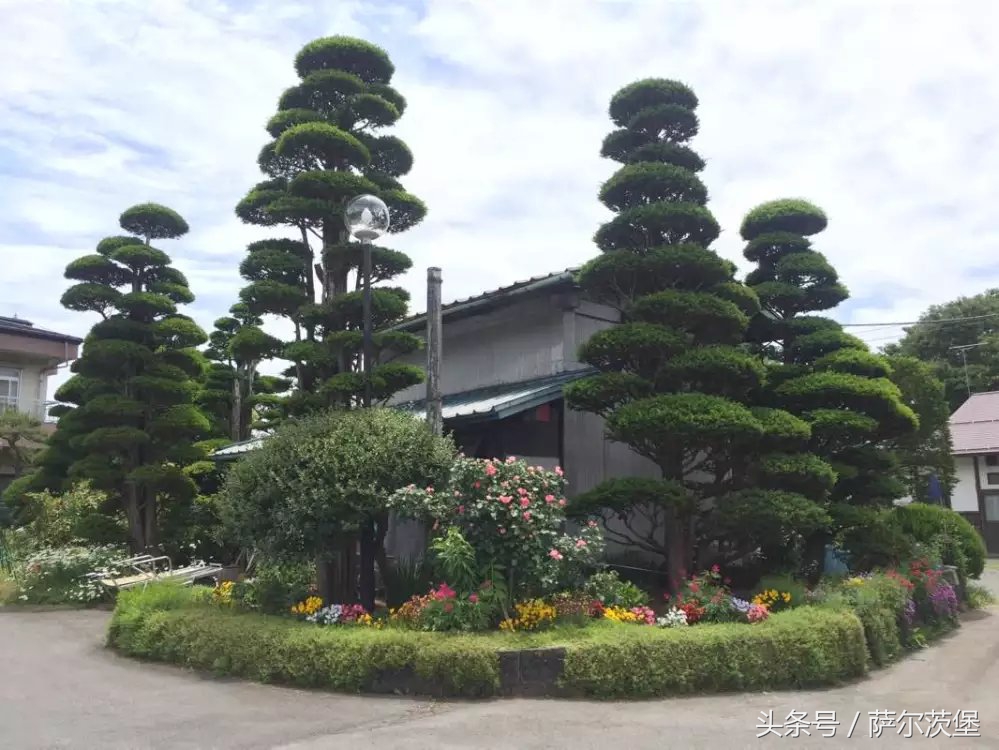 多棱镜之东京箱根富士山--爸妈及女儿眼中不同的日本本州