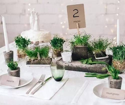 别拿西红柿不当水果,情人节礼物水果