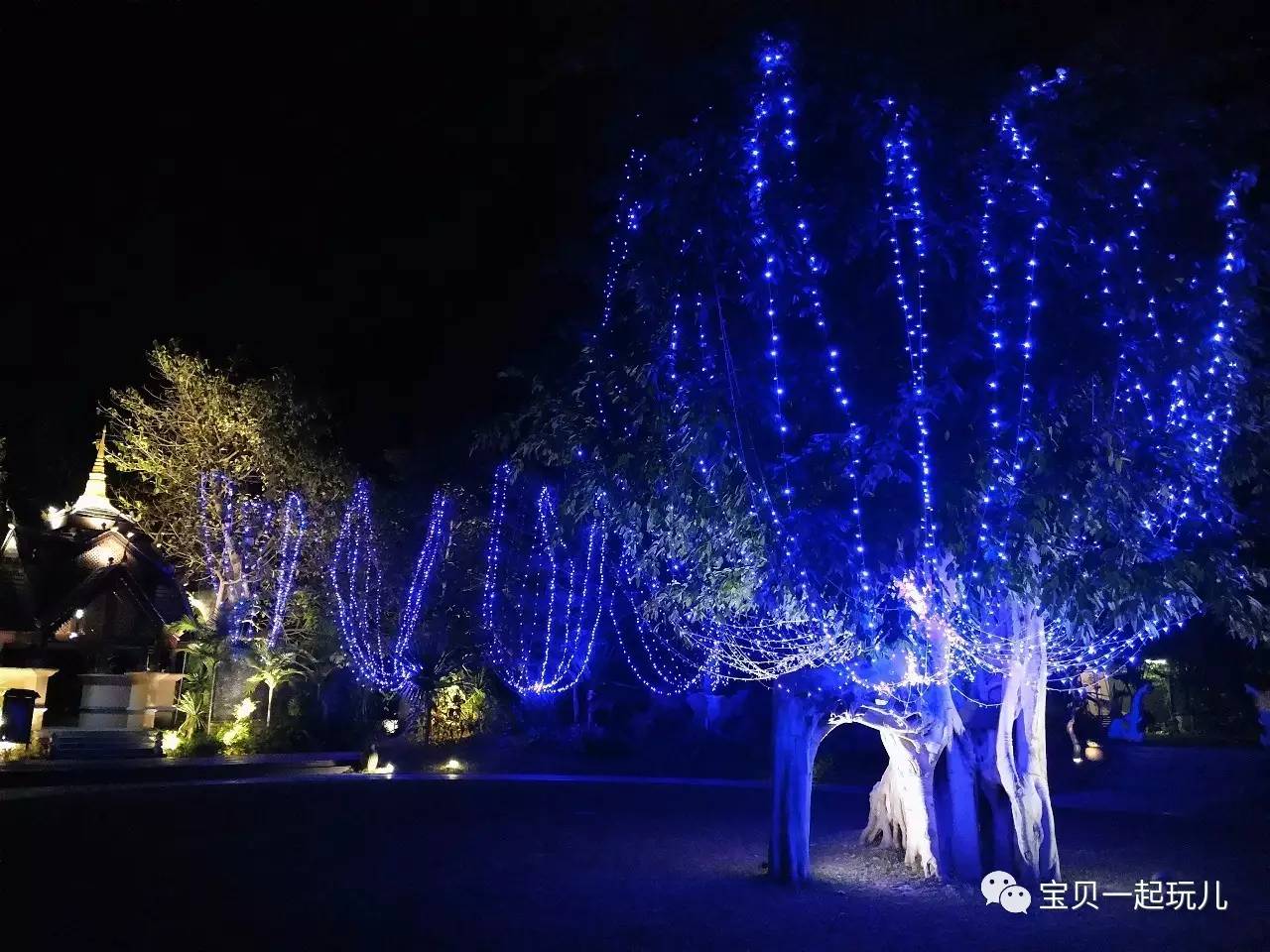 老娘的青春那么短，花点钱开心又何妨