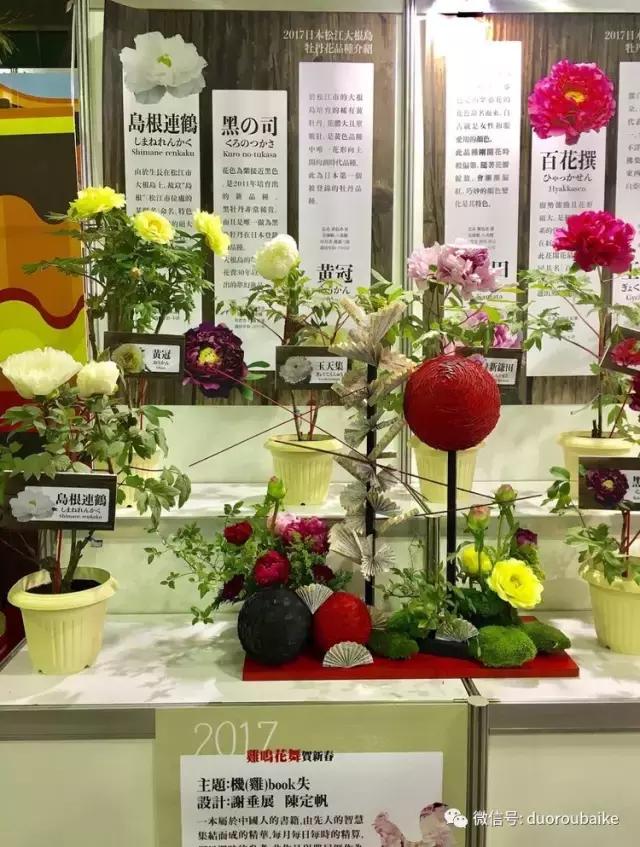 台湾寻肉之旅：小玲带你逛春节的台北花市！