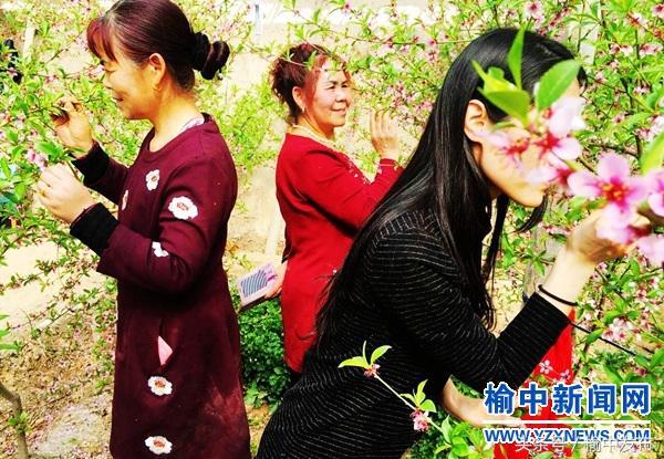 榆中县家乡的年味,秦安年味照片