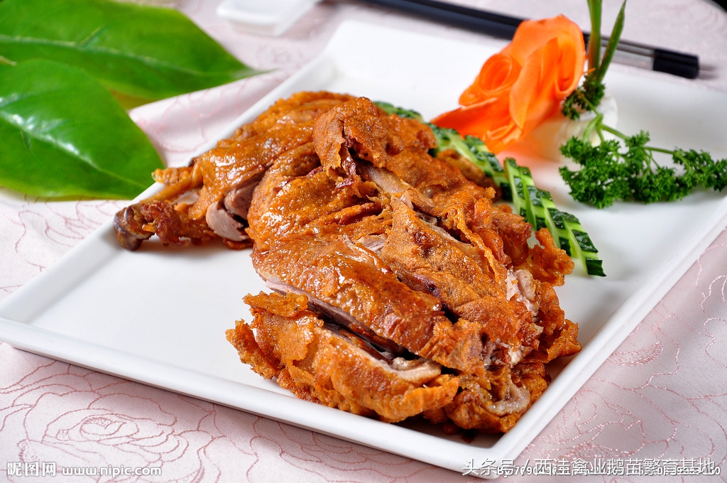 鹅肉的100种做法,关于鹅肉的美食有哪些