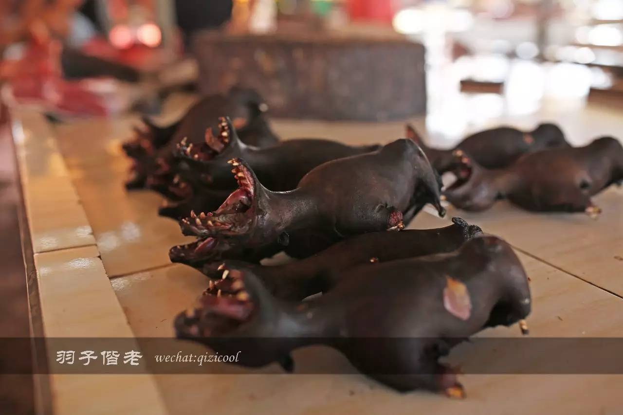 印尼美娜多游玩攻略,美娜多旅行攻略