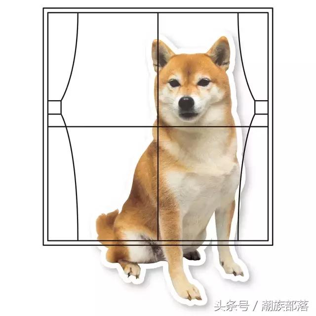 猫控保健,猫控送什么礼物