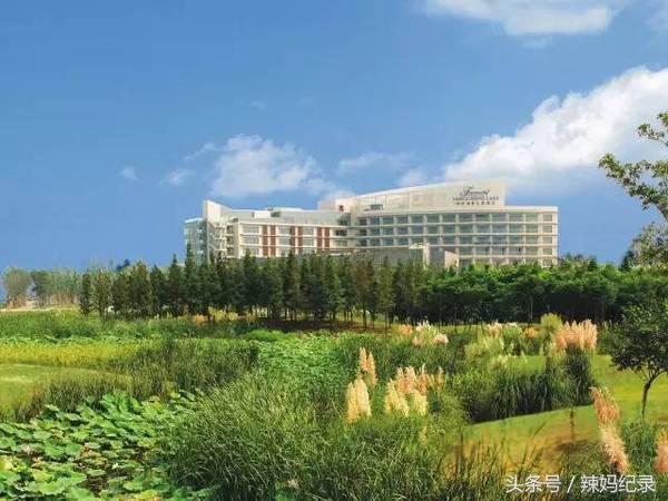 亲子酒店旅行推荐,十大必去的亲子酒店