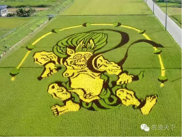 日本:一家一户的小农化也能实现机械化