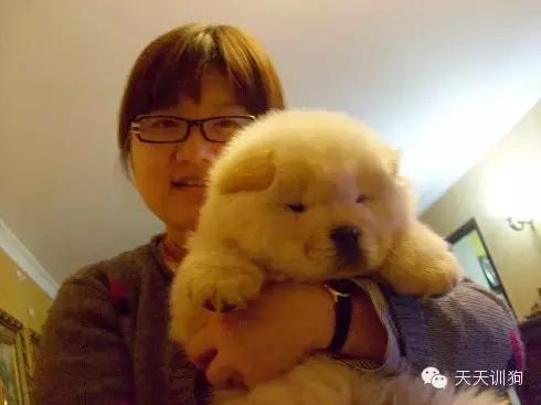 买狗如何防坑,网上买狗最新骗术