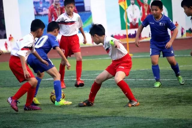 厦门青训足球联赛直播,青训厦门