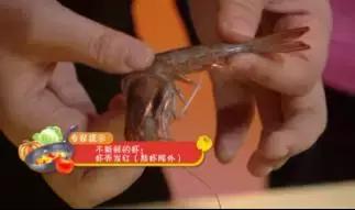 吃虾头会中毒吗,吃虾头会引起发烧吗