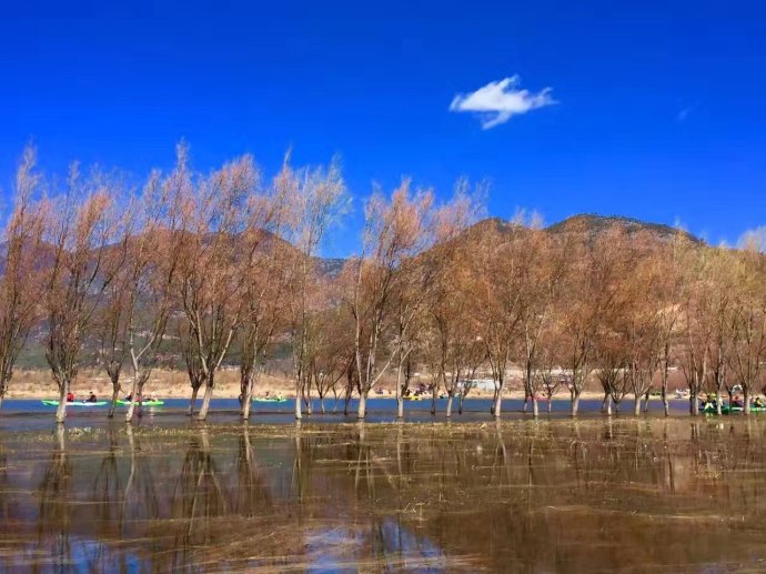 行走的力量——遇见最美虎跳峡