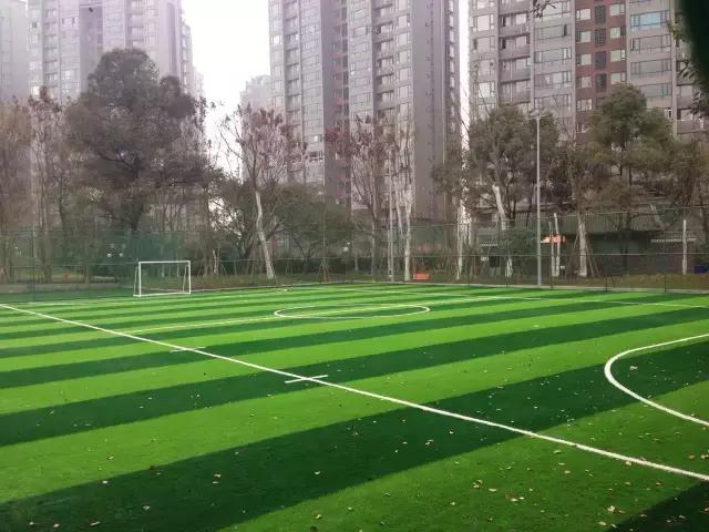 鑺辨捣閲嶇鏉ヨ,鑺辨捣鏉ヨ