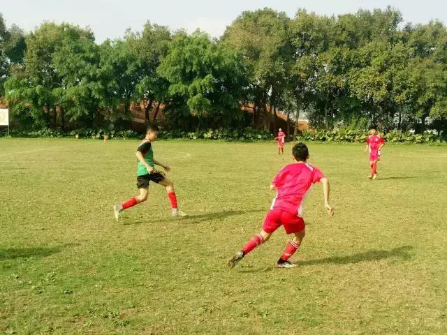 u14锦标赛篮球,u14冠军赛赛程