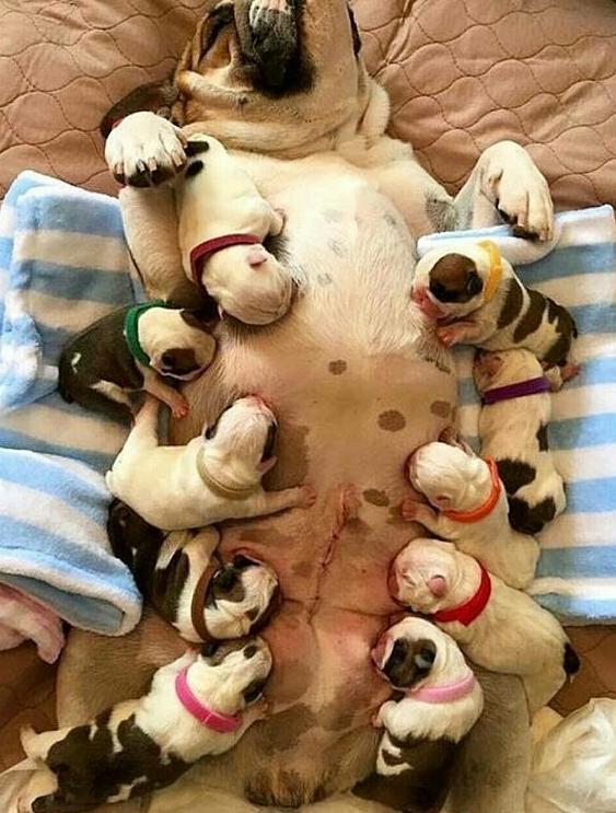 为什么不能轻易拉黑一个人,动不动就拉黑一个人意味着什么