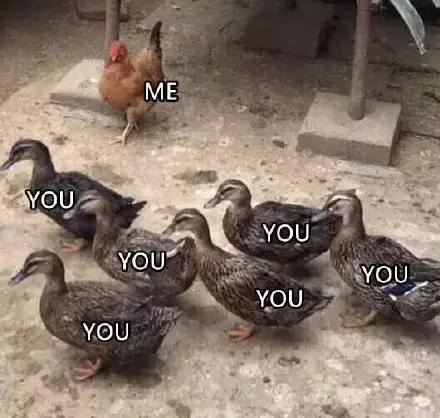 各大牌鸡年限定,外国人对鸡看法