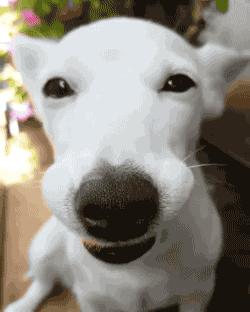 女朋友要把我送到海底捞做培训