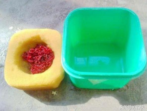 蚯蚓红虫正确使用方法,红虫蚯蚓窝料的使用方法