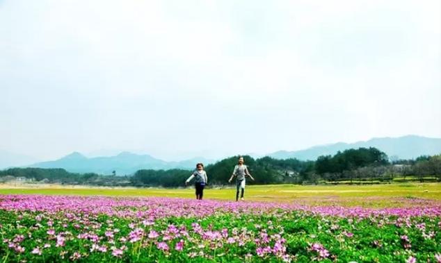 春风里，大爱罗田！