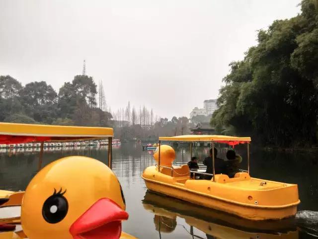 鑺辨捣閲嶇鏉ヨ,鑺辨捣鏉ヨ